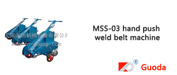 Type MSS-03 Double ended Belt Sander